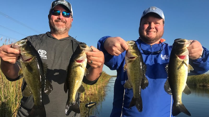 Weekend Everglades Bass Fishing