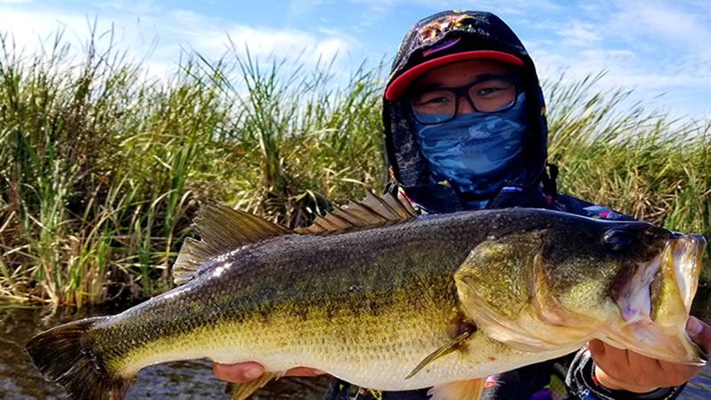 North End Artificial Fishing