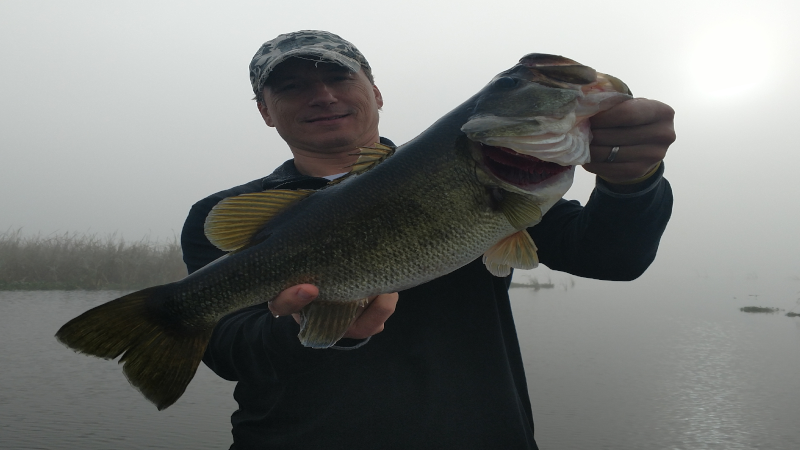 Catch More Fish: Best Prespawn Bass Fishing Tips and Tricks