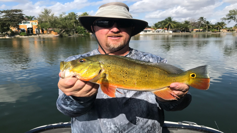 Bucket List Peacock Fishing 1