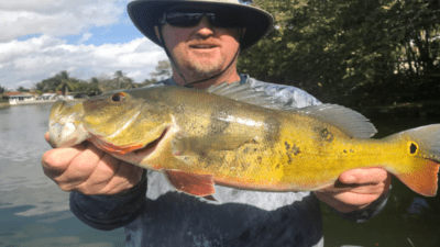 Bucket List Peacock Fishing Charter in South Florida