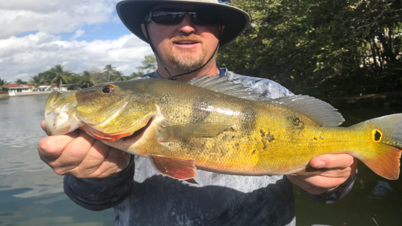 Bucket List Peacock Fishing
