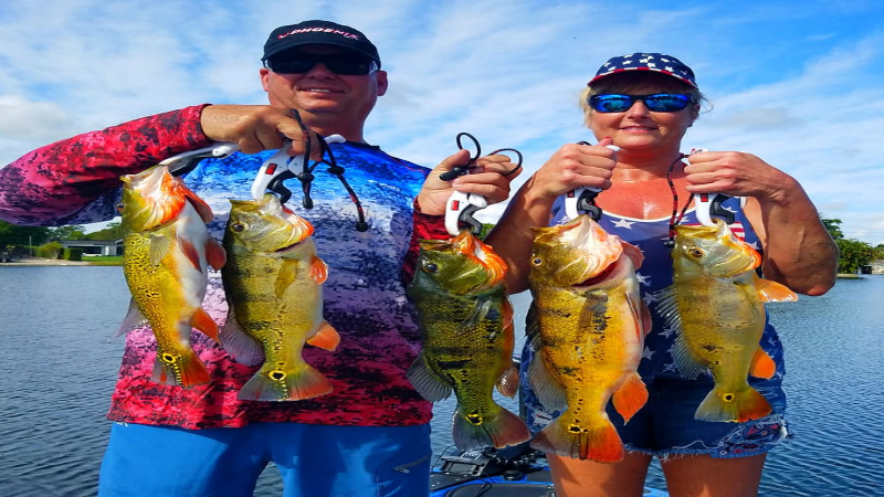 Holiday Peacock Bass Fishing