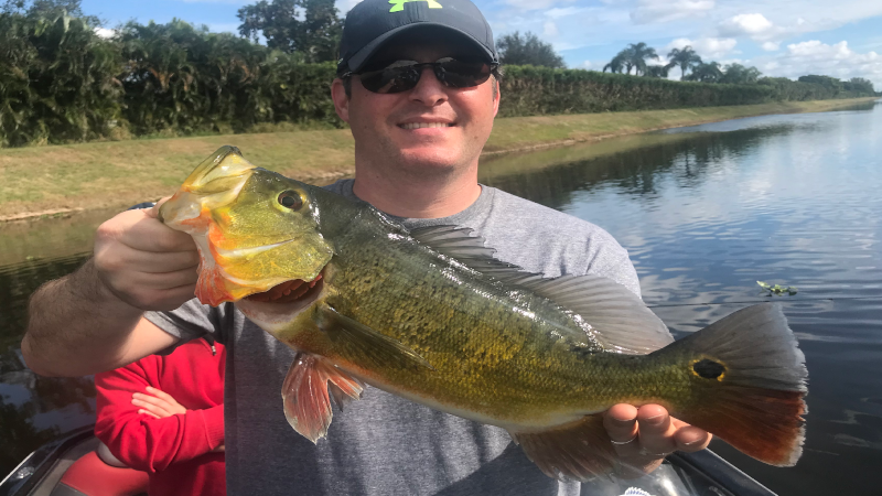 cool weather peacock fishing