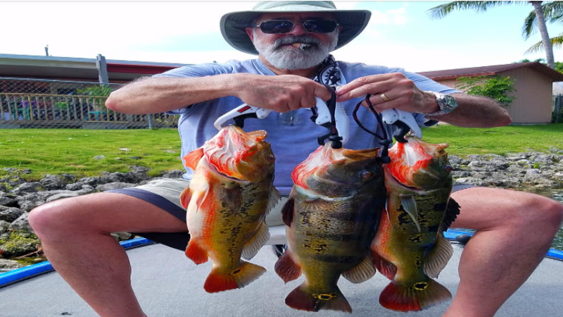 miami travelers bass fishing 4
