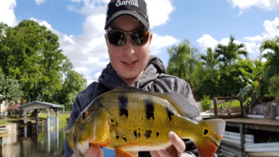 palm beach exotic fishing 1