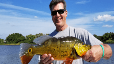 palm beach exotic fishing 2