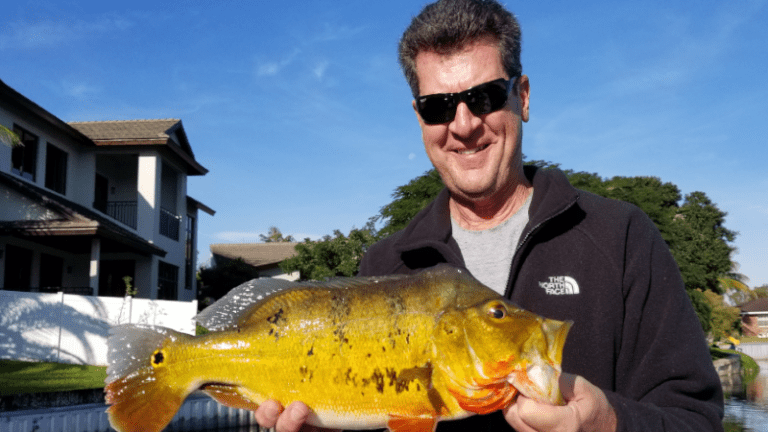 palm beach exotic fishing