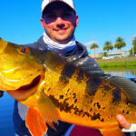 Airport Lakes thumbnail