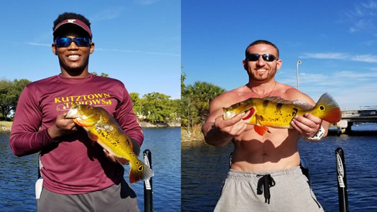 Exotic Bass Fishing Charters in Miami, FL for Peacock Bass 16 exotic bass fishing charters