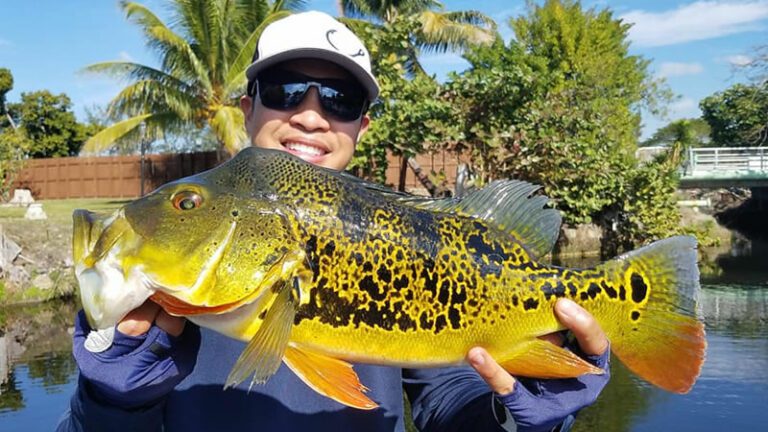 February Peacock Fishing Charters