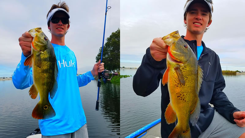 February Peacock Fishing Charters 1