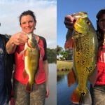 Golden Gate Canal thumbnail