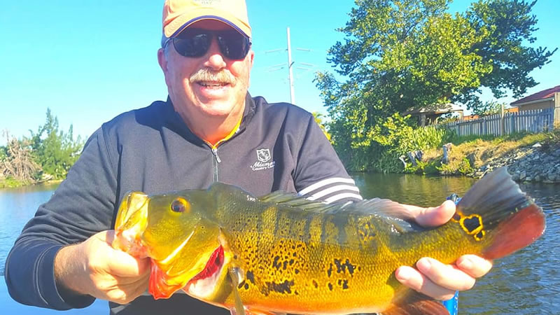 February Peacock Bass Fishing 2