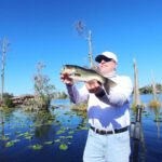 Lake Fairview thumbnail