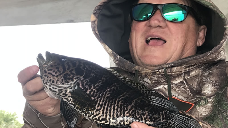 Ninja Warrior Peacock Bass Fishing 6