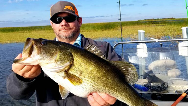 Blue Bird Sky Fishing