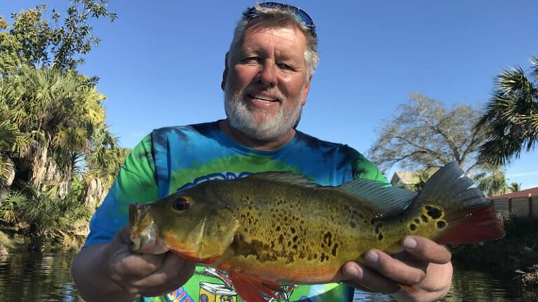 Southwest Florida freshwater fishing - Southwest FL Bass Fishing - Freshwater Fishing Area's In Southwest Florida