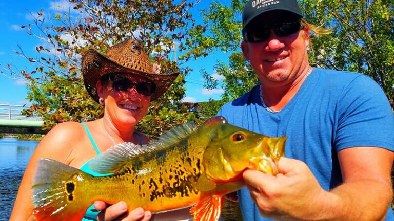 Three Different Species Fishing Charters in Miami, FL 1 Three Different Species Fishing