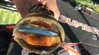 Weekend Everglades Fishing Report 3