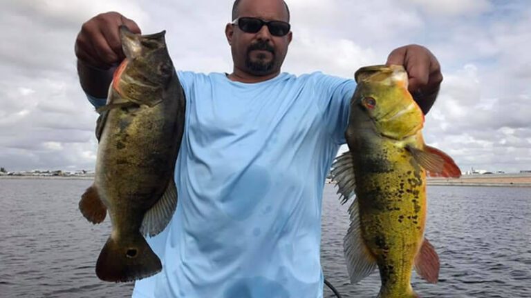 Peacock Heaven Fishing Charters in Miami, Florida 6 Peacock Heaven Fishing Charters