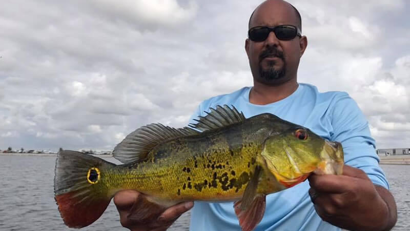 Peacock Heaven Fishing Charters 3