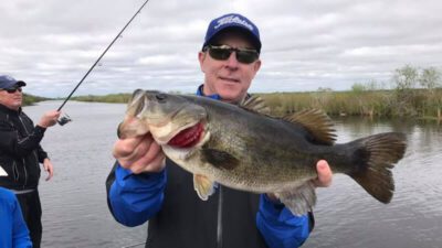 Big Numbers Everglades Fishing 4