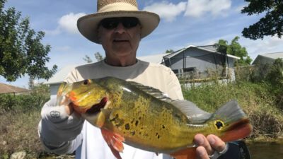 Daughter Peacock Bass Fishing 1