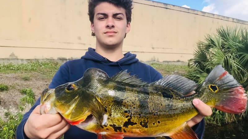 Blue Lagoon Slam Fishing 3