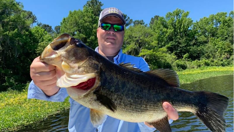 Double Largemouth Bass Fishing
