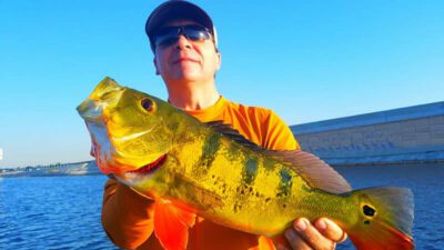 Warming Trend Peacock Fishing 1