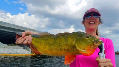 Warming Trend Peacock Fishing 2