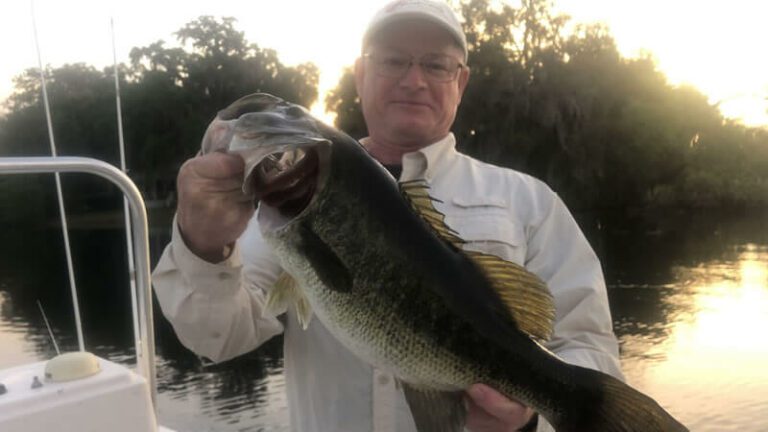 Hydrilla Bass Fishing Charters