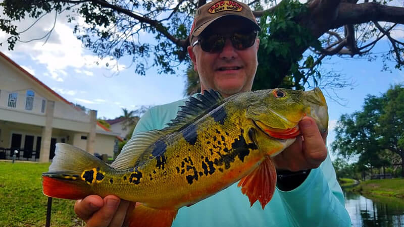 Knuckle Head Fishing Charters