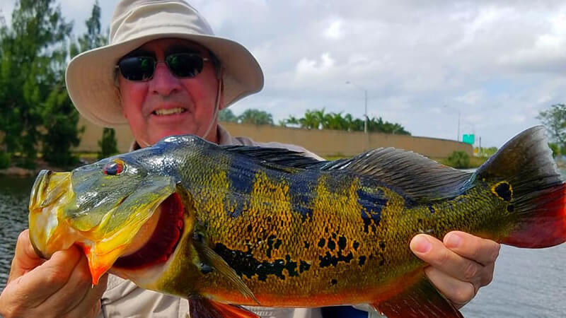 Home Builders Bass Fishing 2