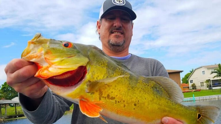 Delray Beach Bass Fishing