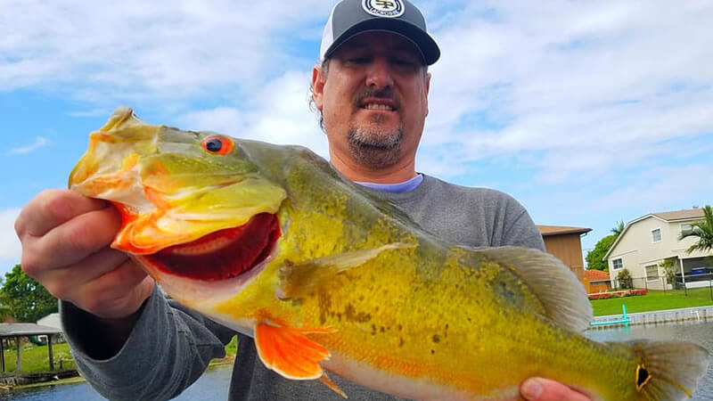 Delray Beach Bass Fishing