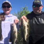 Alligator Alley 41 thumbnail