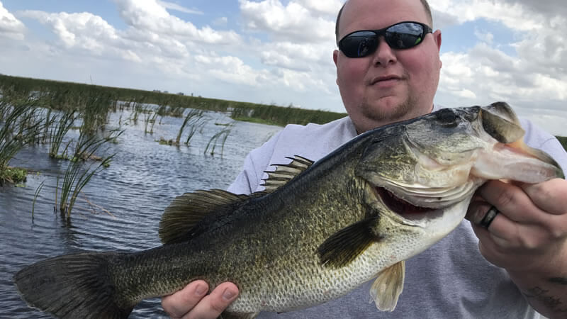 Okeechobee Toad Bass Fishing