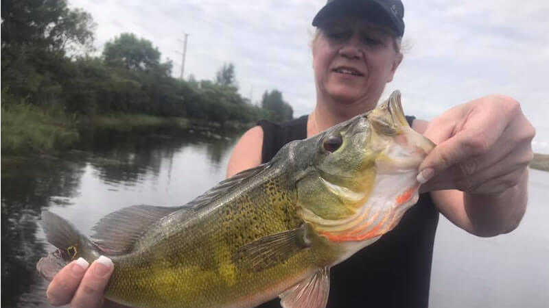 Total Beginner Fishing Charters 3