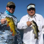 Alligator Alley 35 thumbnail