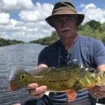 Holiday Park Everglades thumbnail