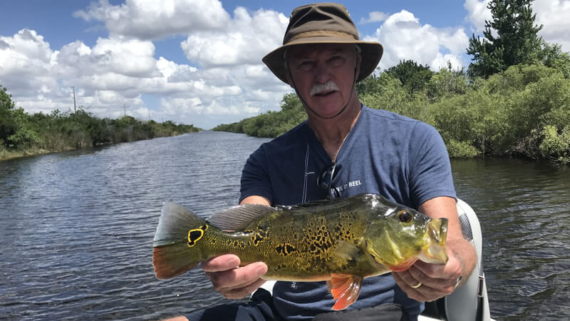 Holiday Park Everglades photo