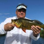 Holiday Park Everglades thumbnail