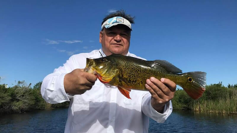 Holiday Park Everglades photo