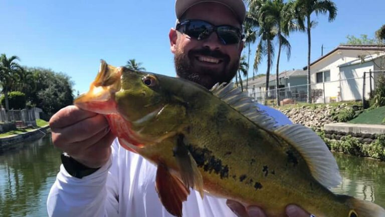 June Florida Bass Fishing