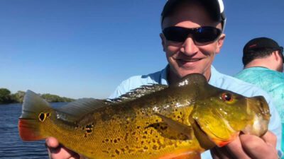 Male Peacock Bass Fishing 1