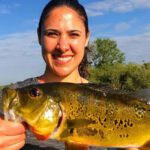 Holiday Park Everglades thumbnail