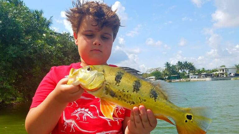 Peacock Bass Fishing Hunt