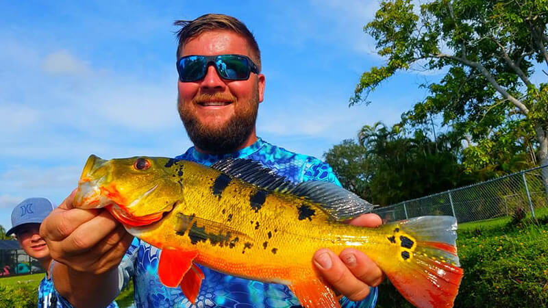 Summer Rain Exotic Fishing